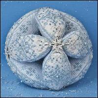 JN224 Snowball • ©2011, Just Nan, Inc., by Nan Caldera JN224 Snowball • ©2011, Just Nan, Inc., by Nan Caldera